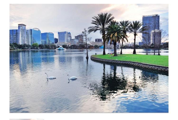 College Park-Orlando 5Star Villa Oasis - Home Away From Home - Quiet Neighborhood-Private Botanical Courtyard - Mins From Eola,Dt, Winter Park - Free Parking & Ev Plug In Екстер'єр фото